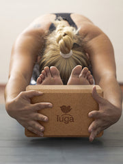 IUGA yoga blocks cork